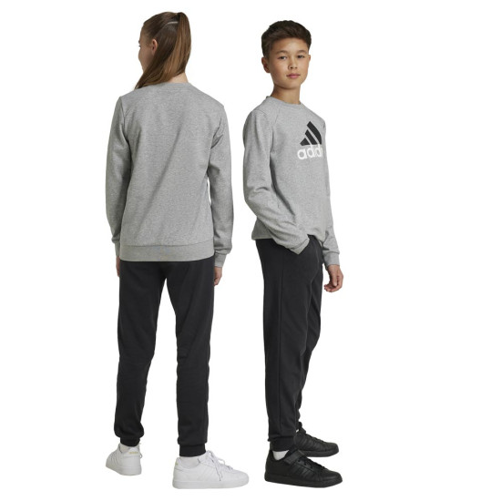 Adidas Παιδικές φόρμες σετ Essentials Big Logo French Terry Joggers